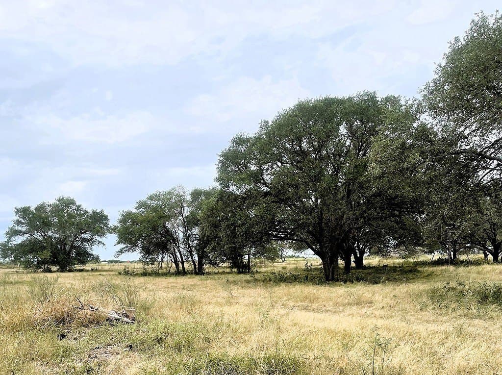 76.2 acres in Lavaca County - photo 21