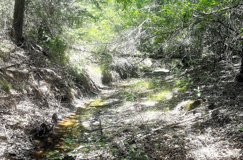 76.2 acres in Lavaca County - photo 26
