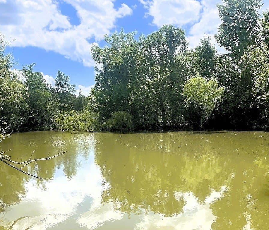 76.2 acres in Lavaca County - photo 28