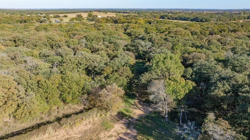 45 acres in Hill County - photo 11