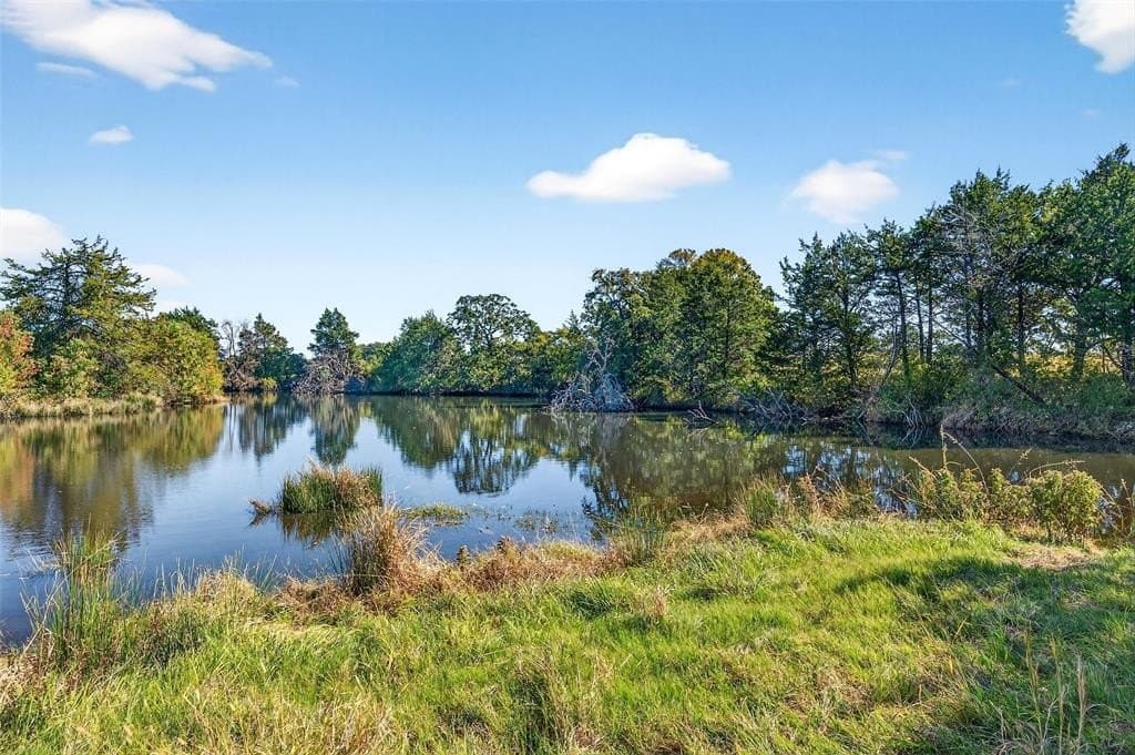 33.1 acres in Grayson County - photo 9