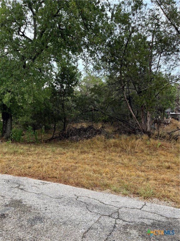 0.18 acres in Comal County - photo 6