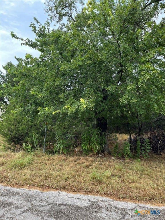 0.18 acres in Comal County - photo 4