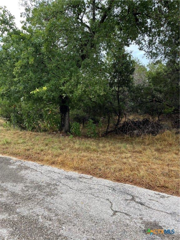 0.18 acres in Comal County - photo 5