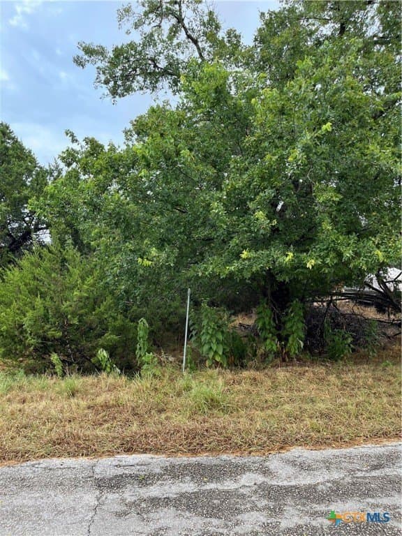 0.18 acres in Comal County - photo 2