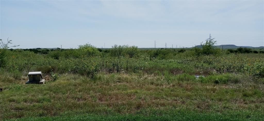 5.8 acres in Palo Pinto County - photo 5