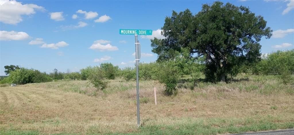 5.8 acres in Palo Pinto County - photo 19