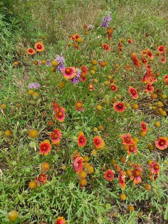 5.8 acres in Palo Pinto County - photo 20
