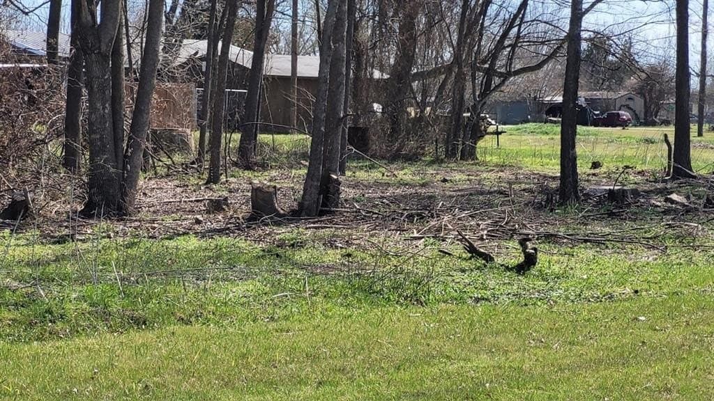0.36 acres in Navarro County - photo 4