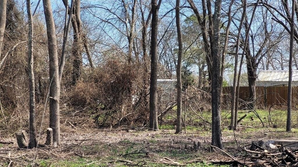 0.36 acres in Navarro County - photo 3
