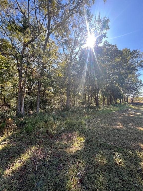 1.5 acres in Red River County - photo 6