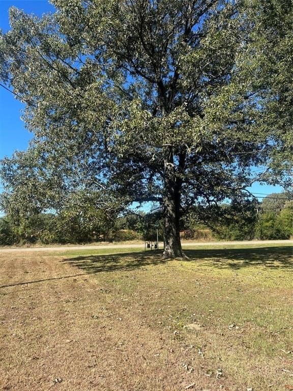 1.5 acres in Red River County - photo 8