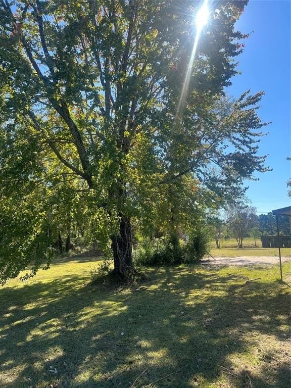 1.5 acres in Red River County - photo 9