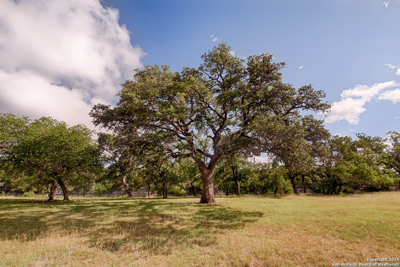 8.33 acres in Gillespie County - photo 14