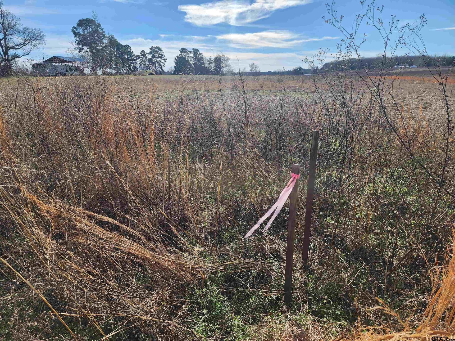 2.67 acres in Camp County - photo 4