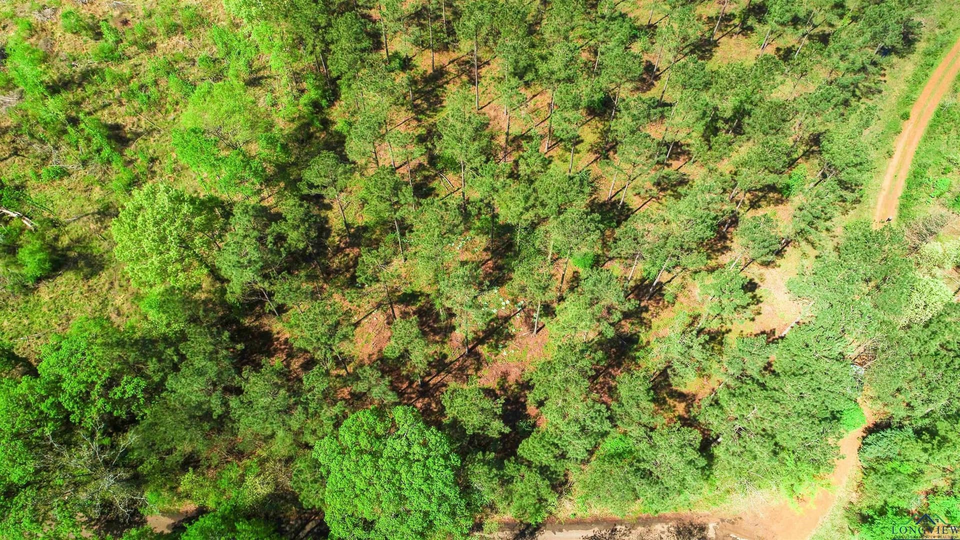 8.5 acres in Texas County - photo 2