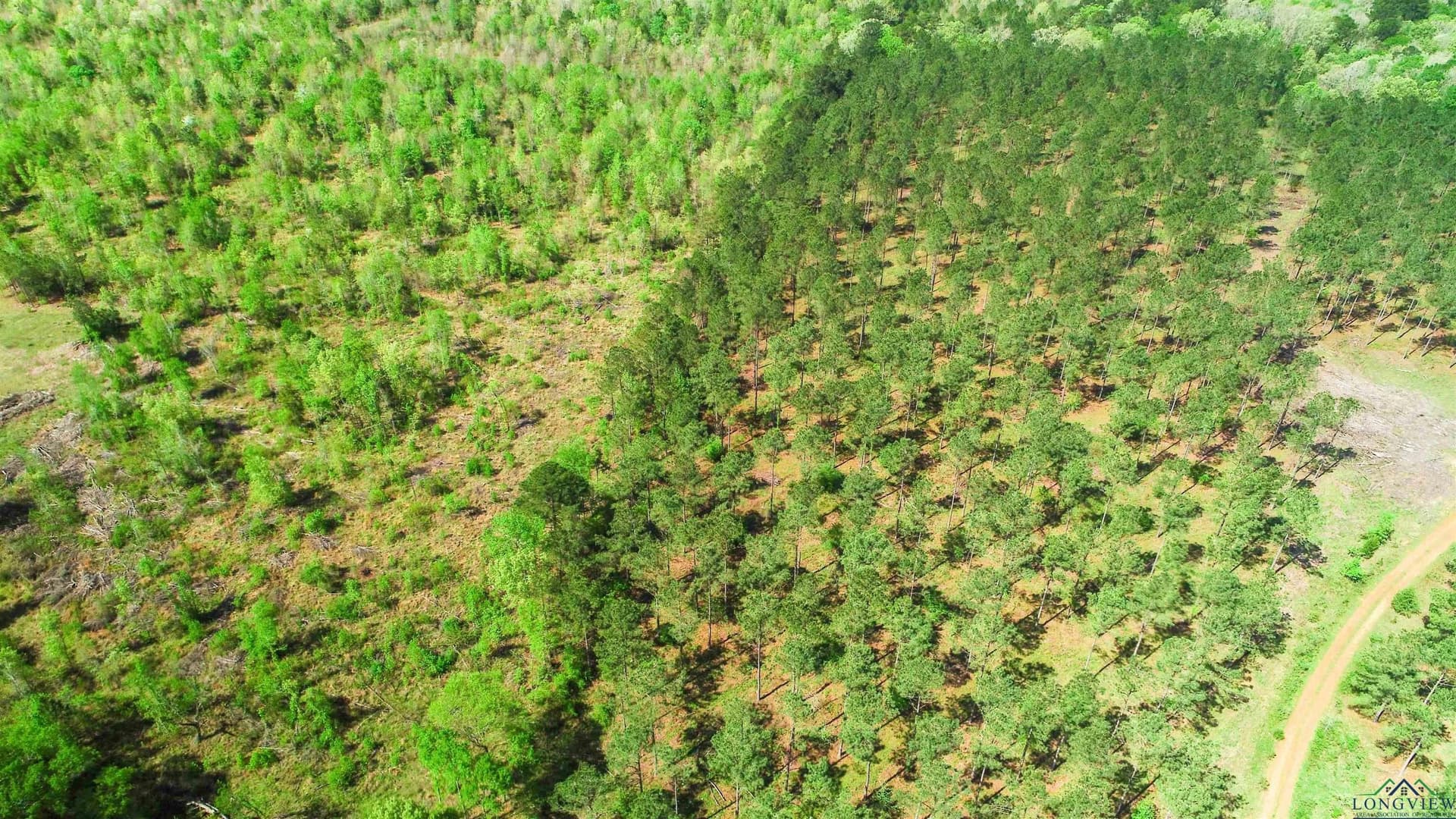 8.5 acres in Texas County - photo 3