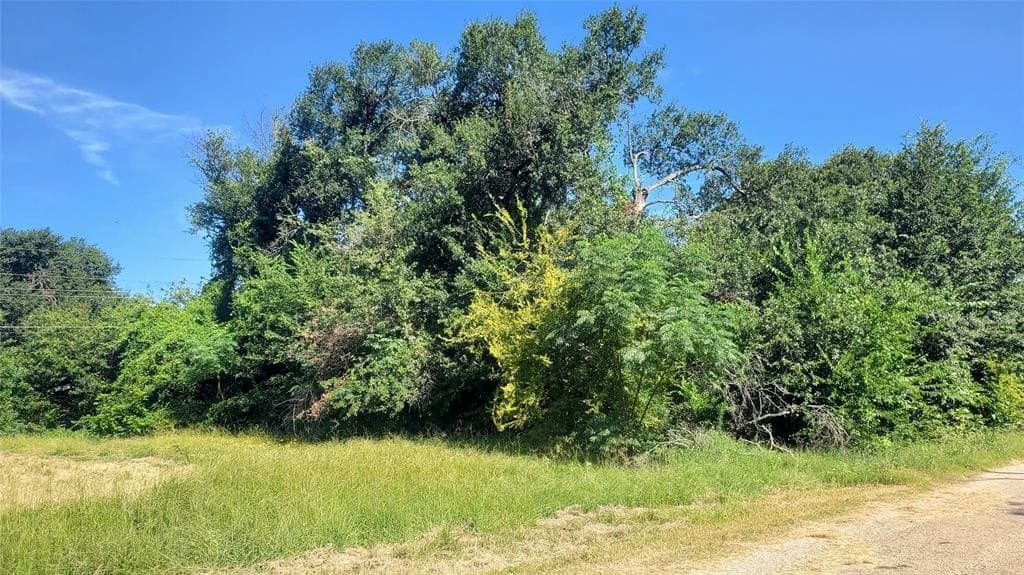 0.1 acres in Henderson County - photo 5