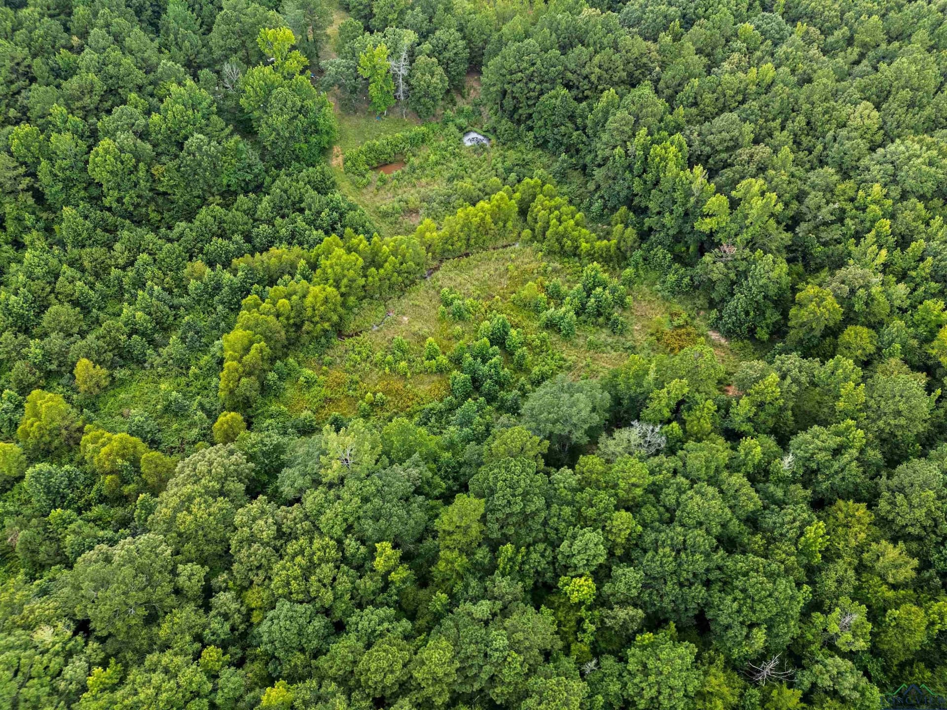 95.76 acres in Marion County - photo 22