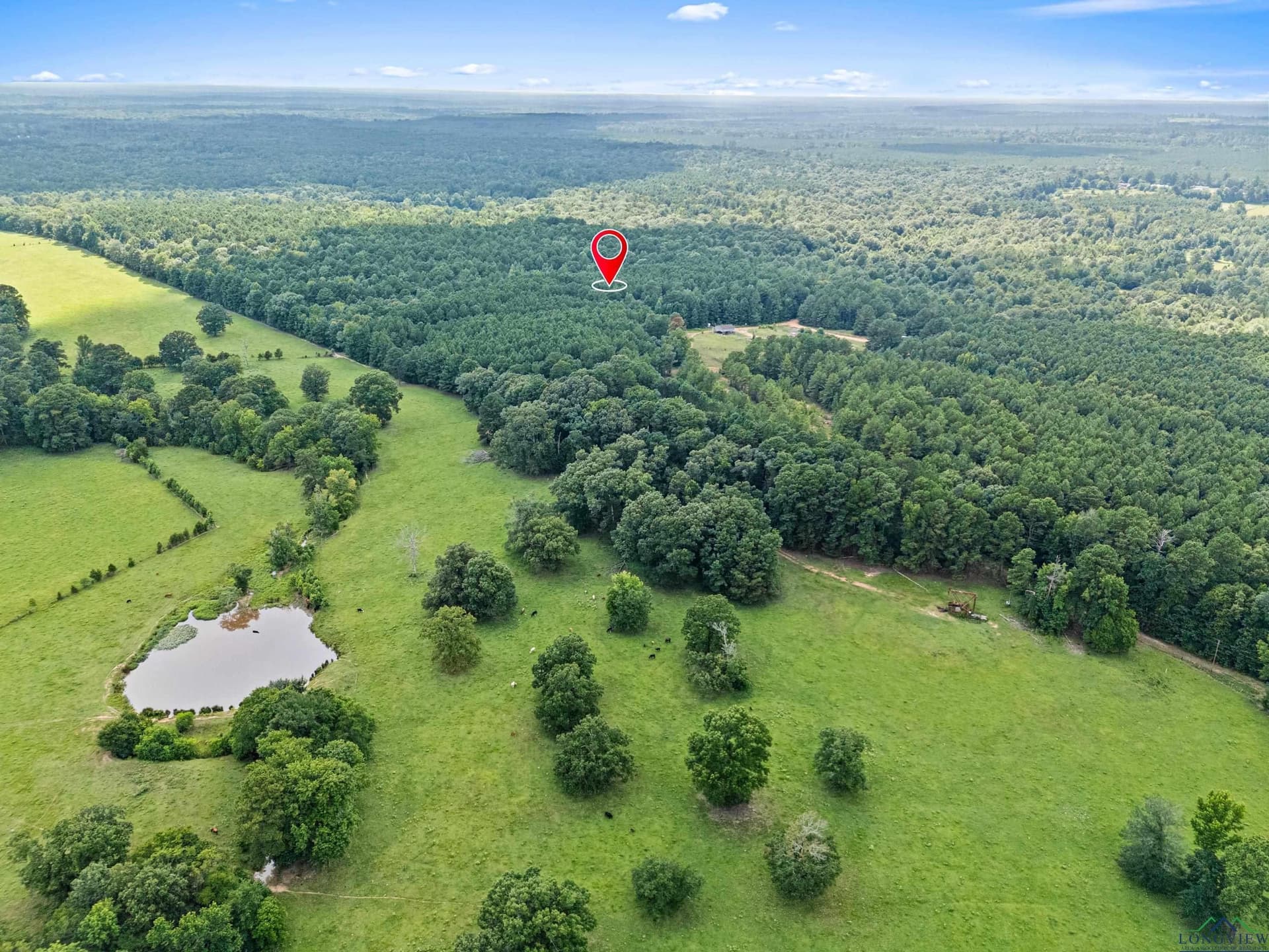 95.76 acres in Marion County - photo 5