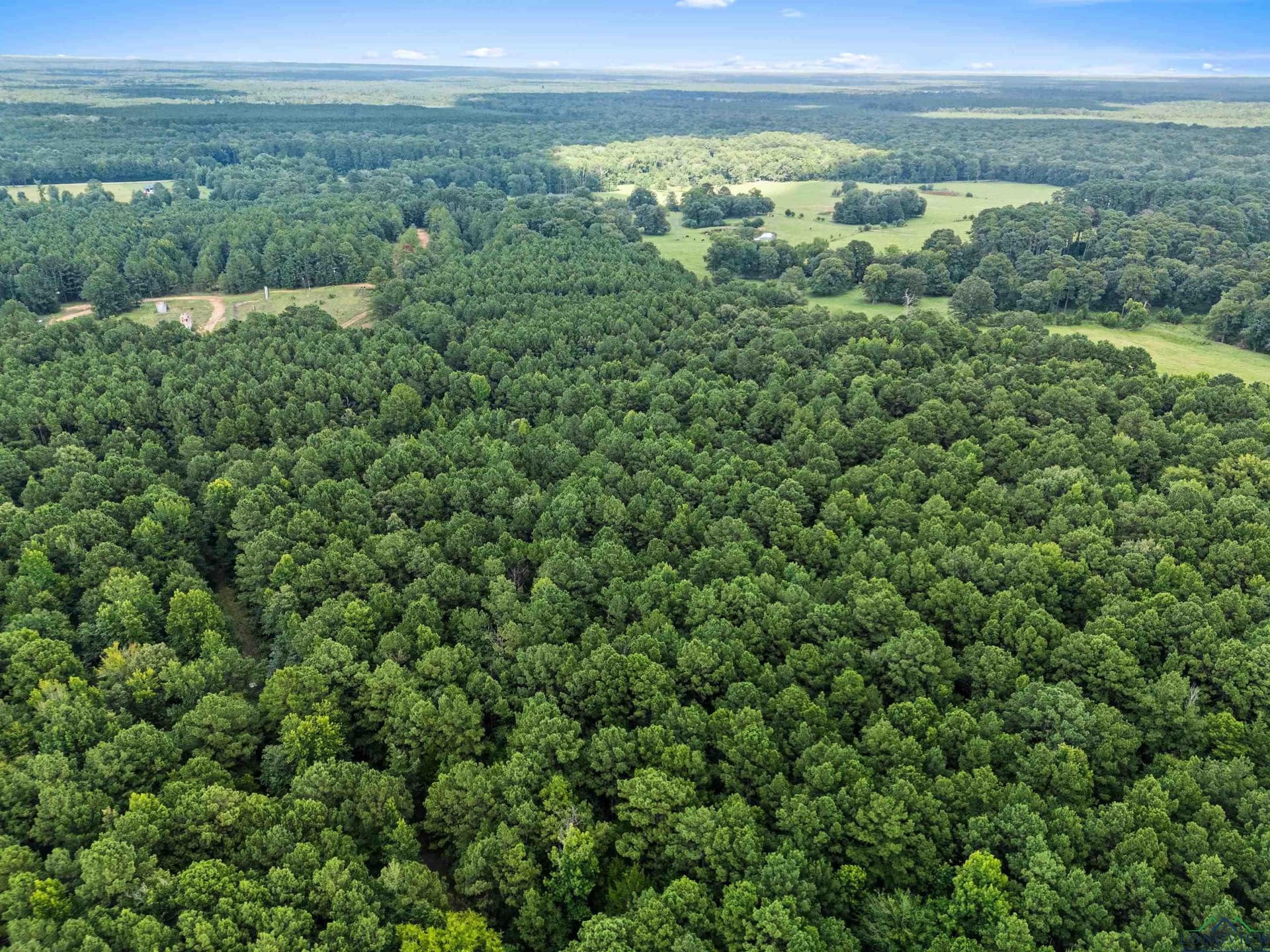 95.76 acres in Marion County - photo 23