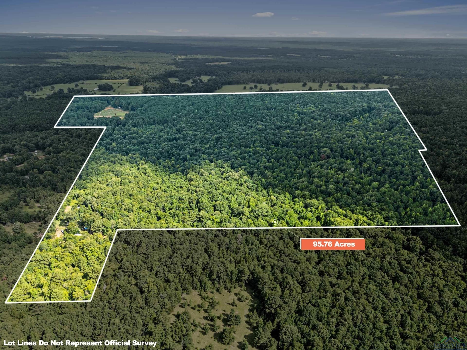 95.76 acres in Marion County - photo 2