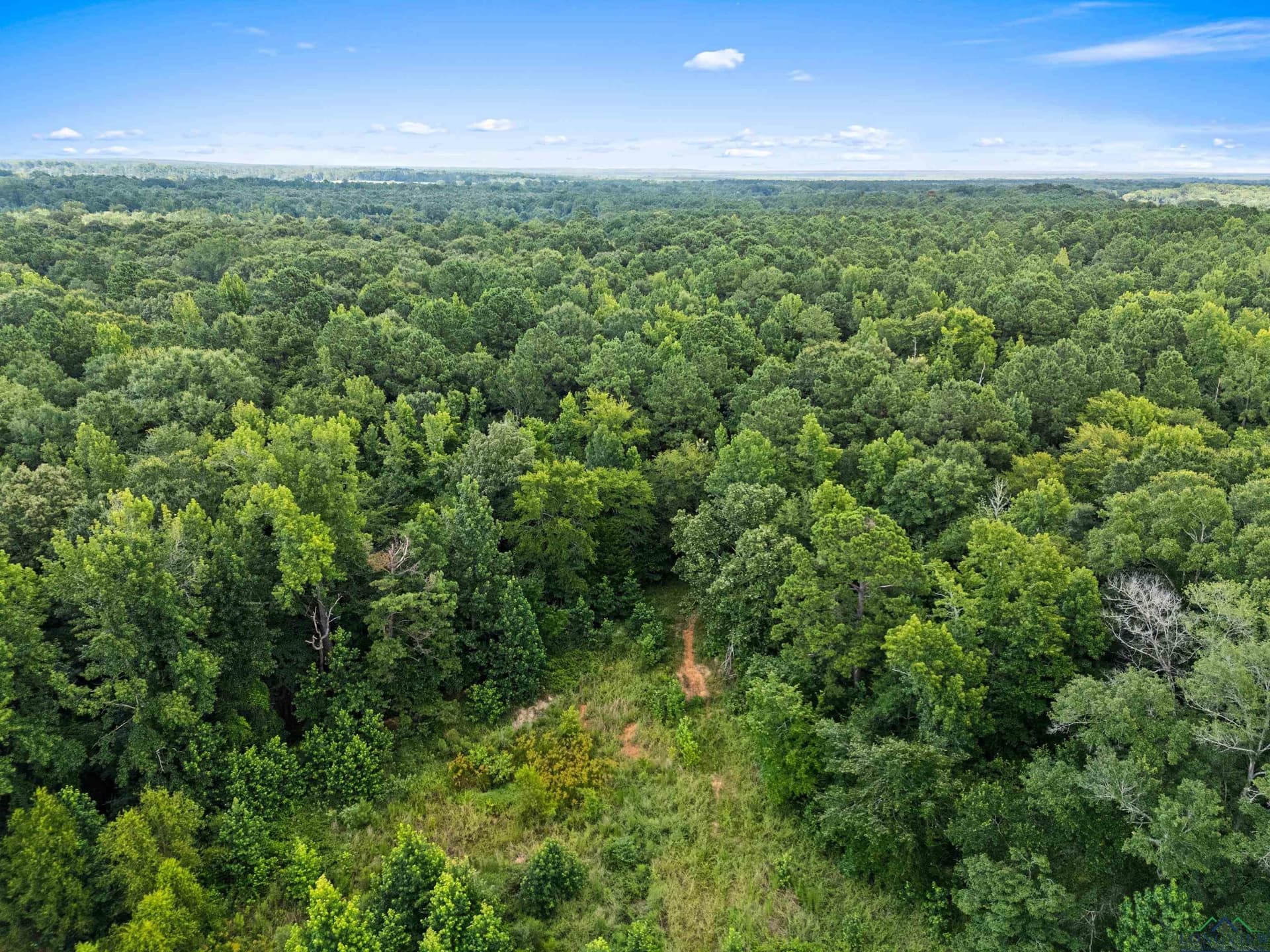 95.76 acres in Marion County - photo 21
