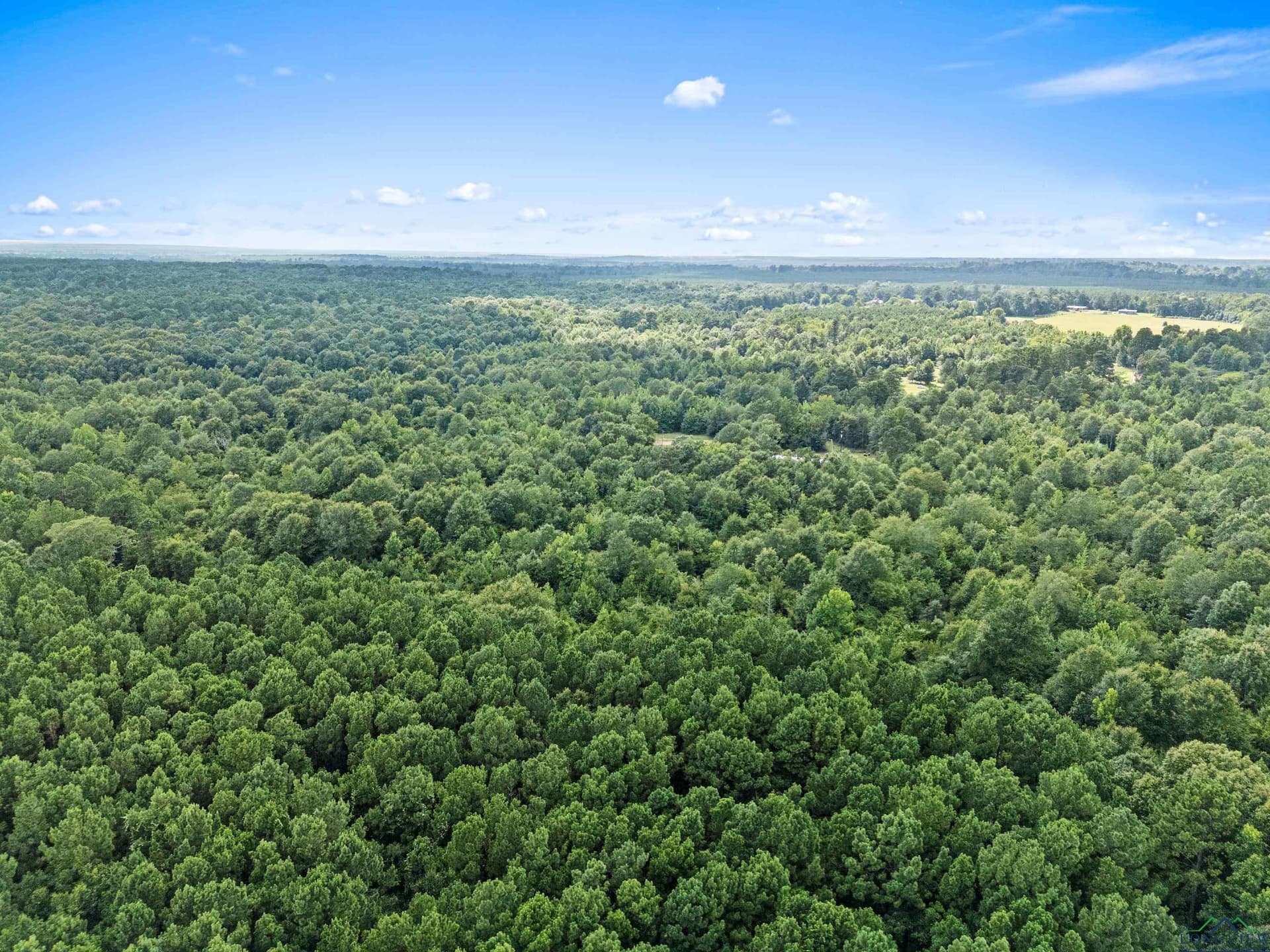 95.76 acres in Marion County - photo 28