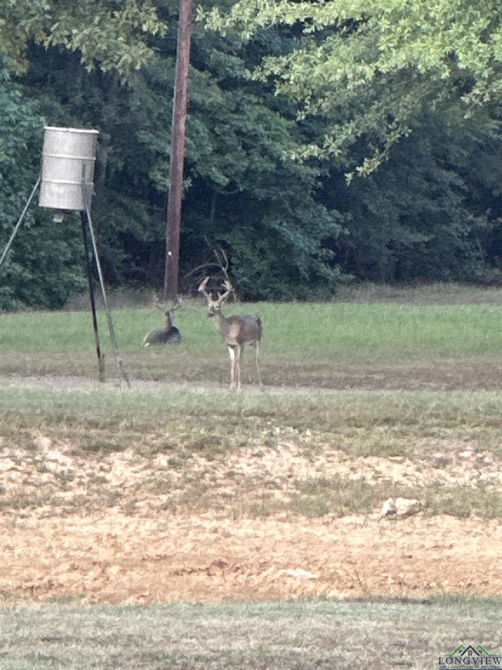 95.76 acres in Marion County - photo 13