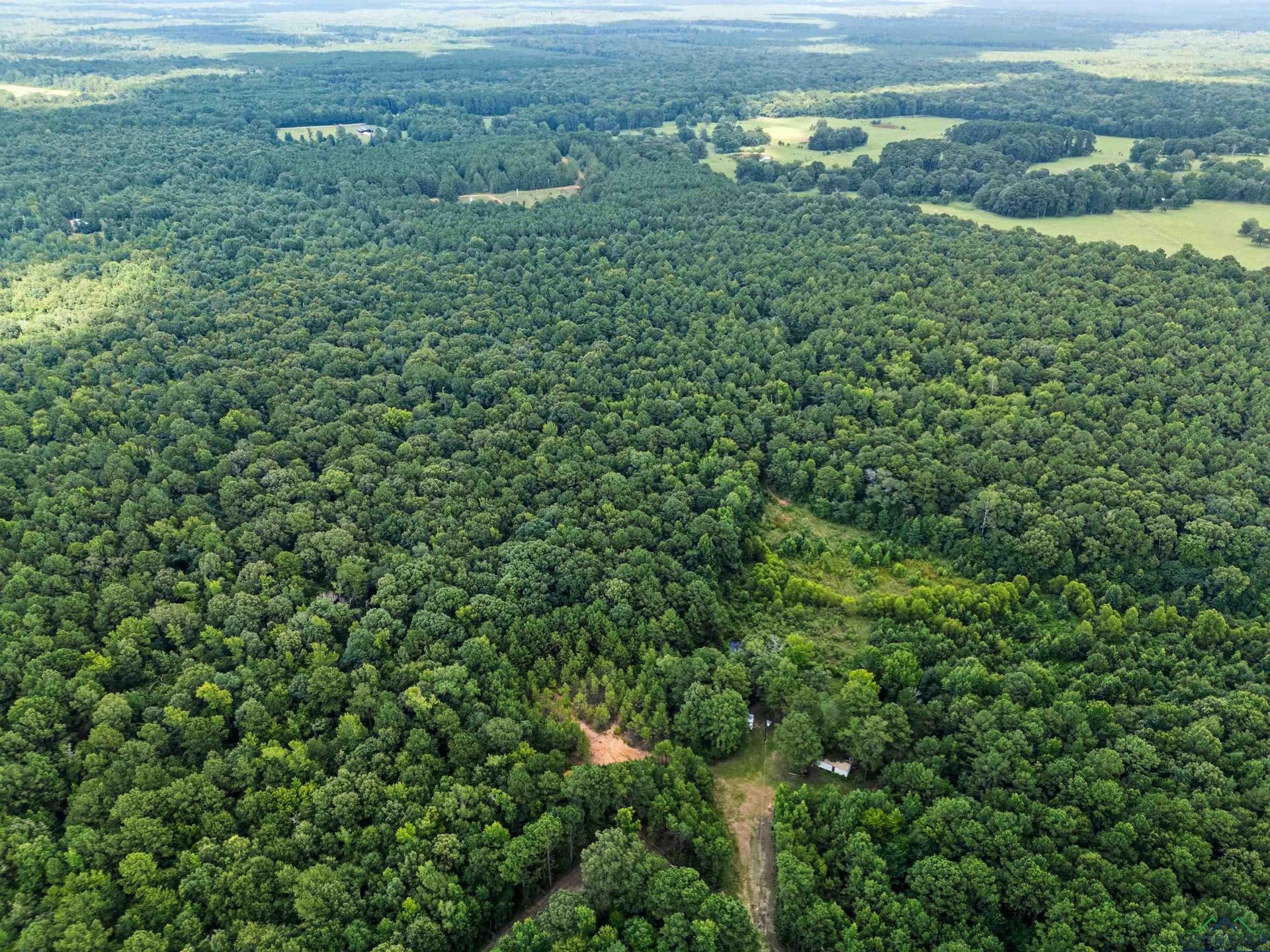 95.76 acres in Marion County - photo 19