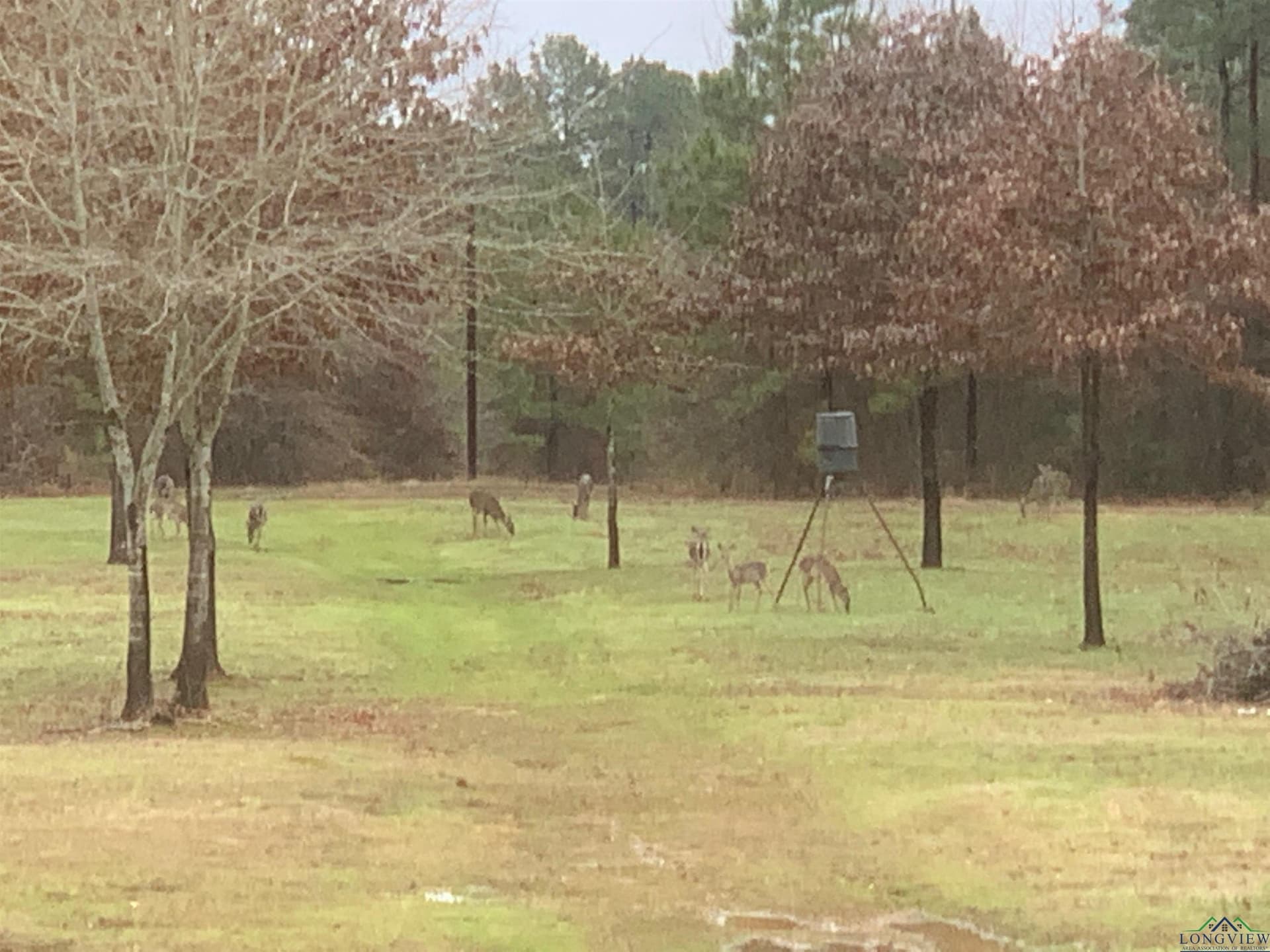95.76 acres in Marion County - photo 15