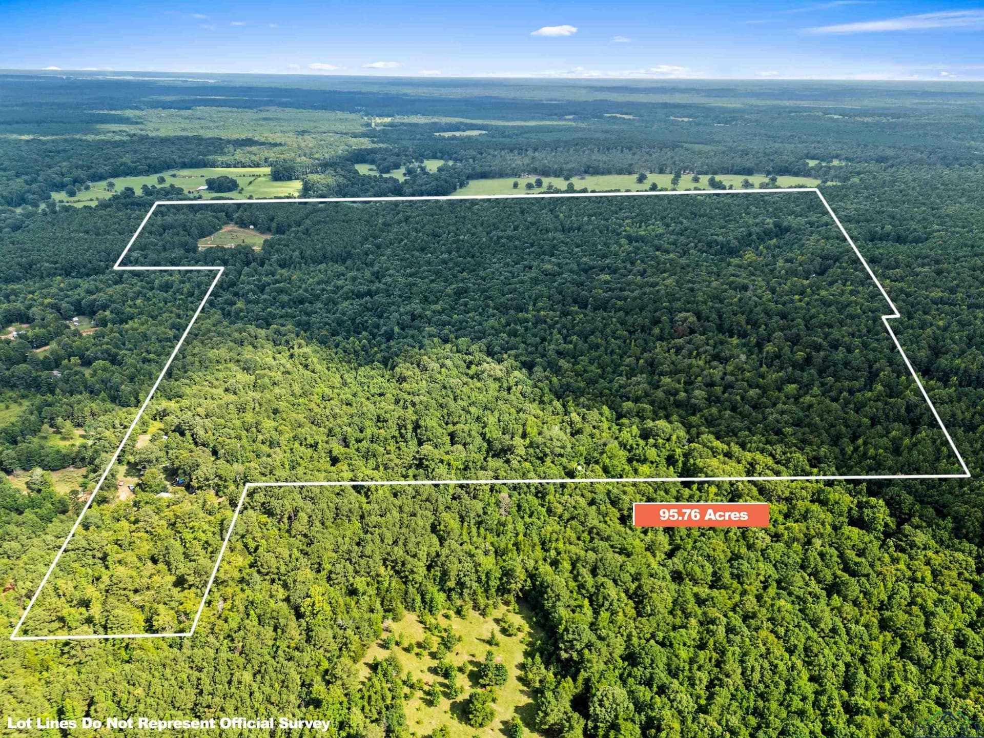 95.76 acres in Marion County - photo 3