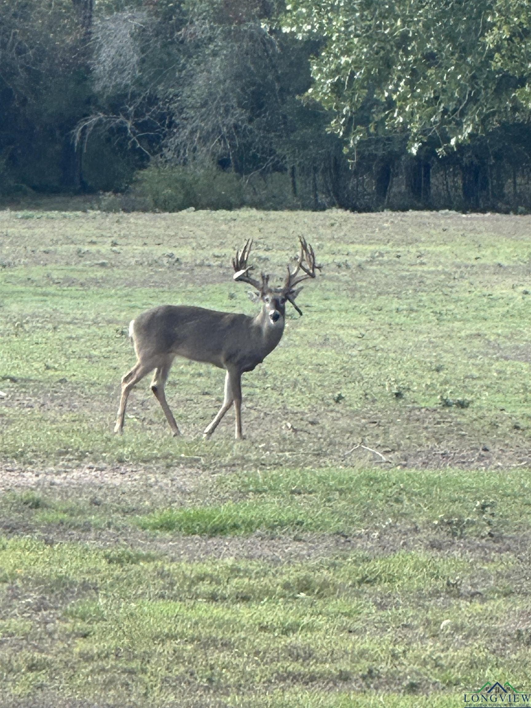 95.76 acres in Marion County - photo 18