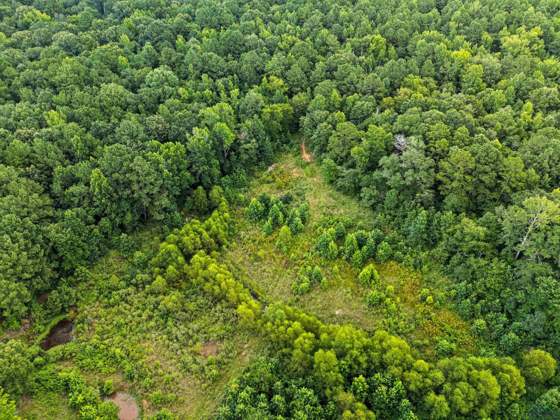 95.76 acres in Marion County - photo 20
