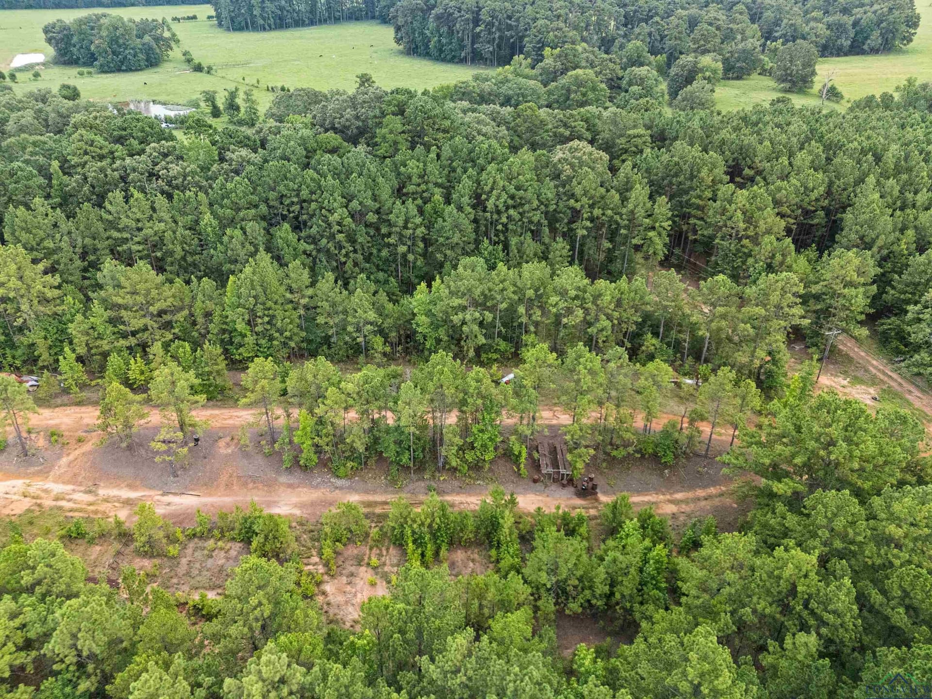 95.76 acres in Marion County - photo 25