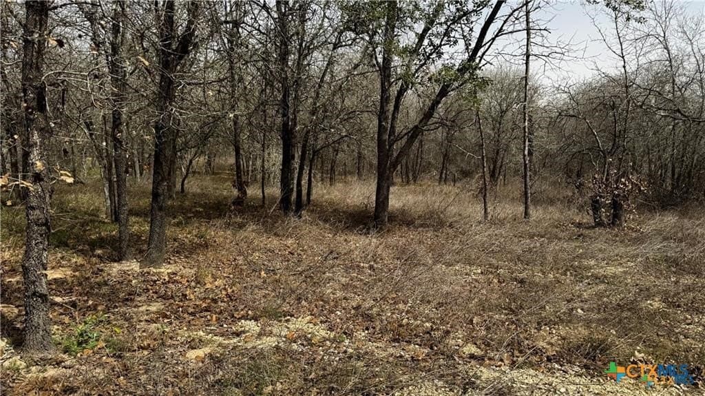 1.24 acres in Bexar County - photo 5