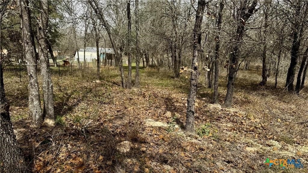 1.24 acres in Bexar County - photo 4