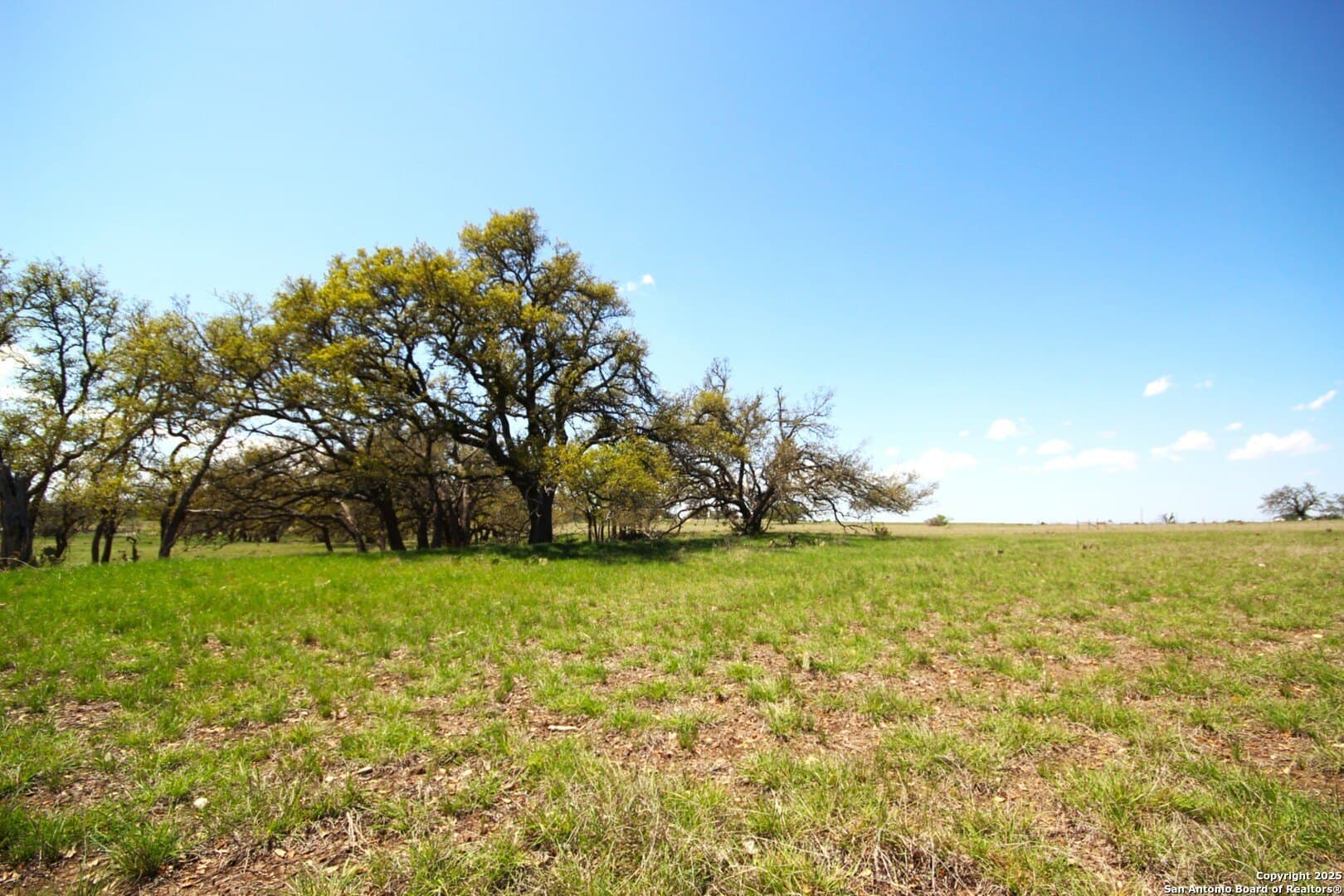 11 acres in Gillespie County - photo 2
