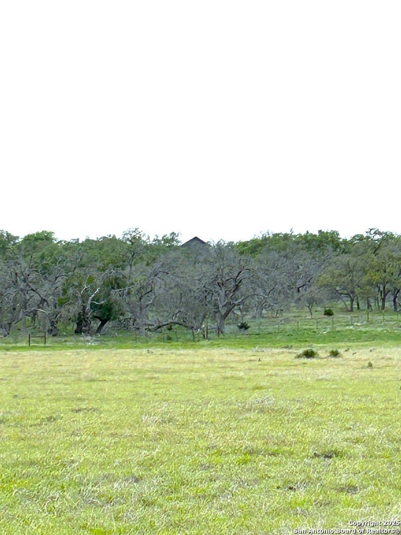 11 acres in Gillespie County - photo 3