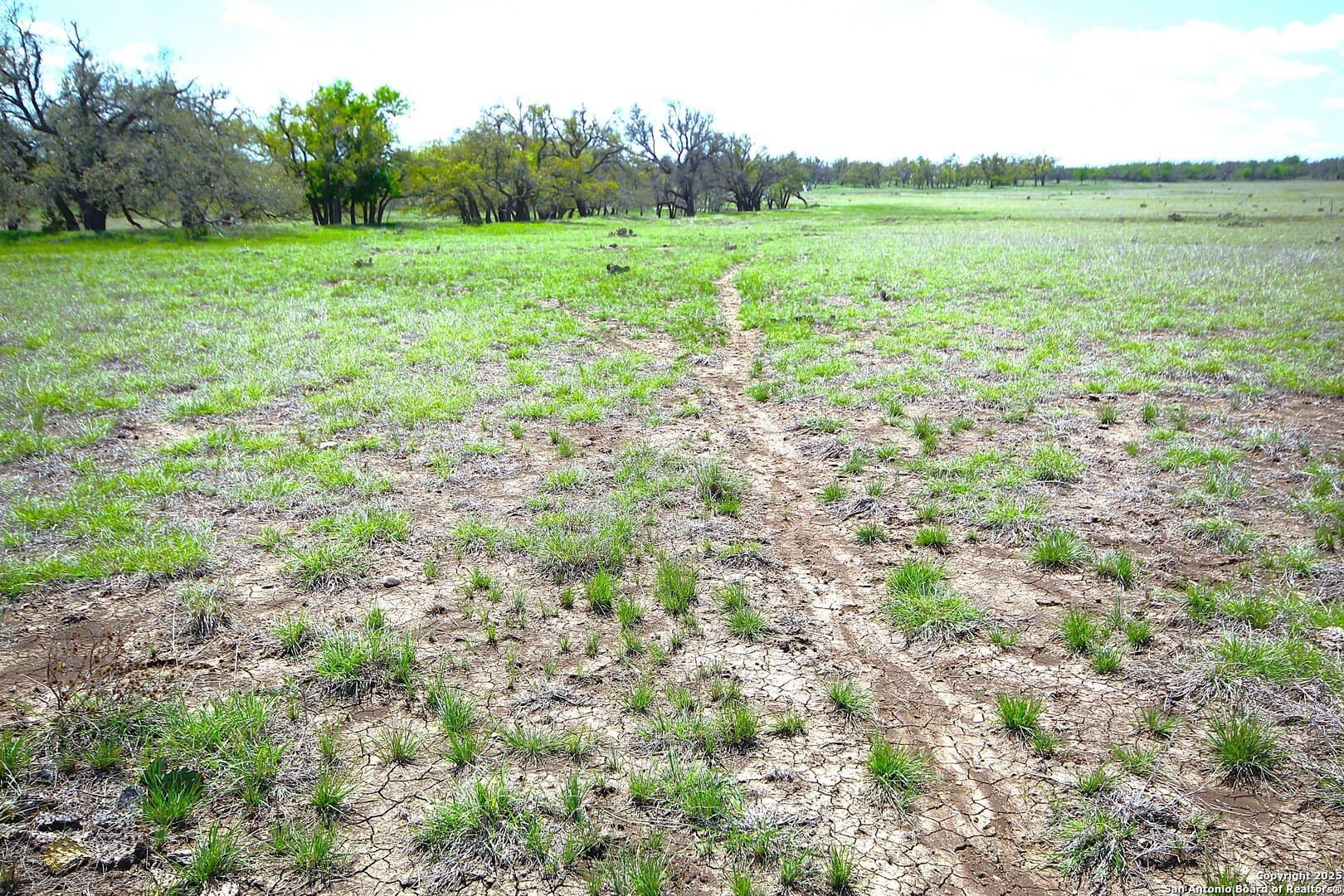 11 acres in Gillespie County - photo 5