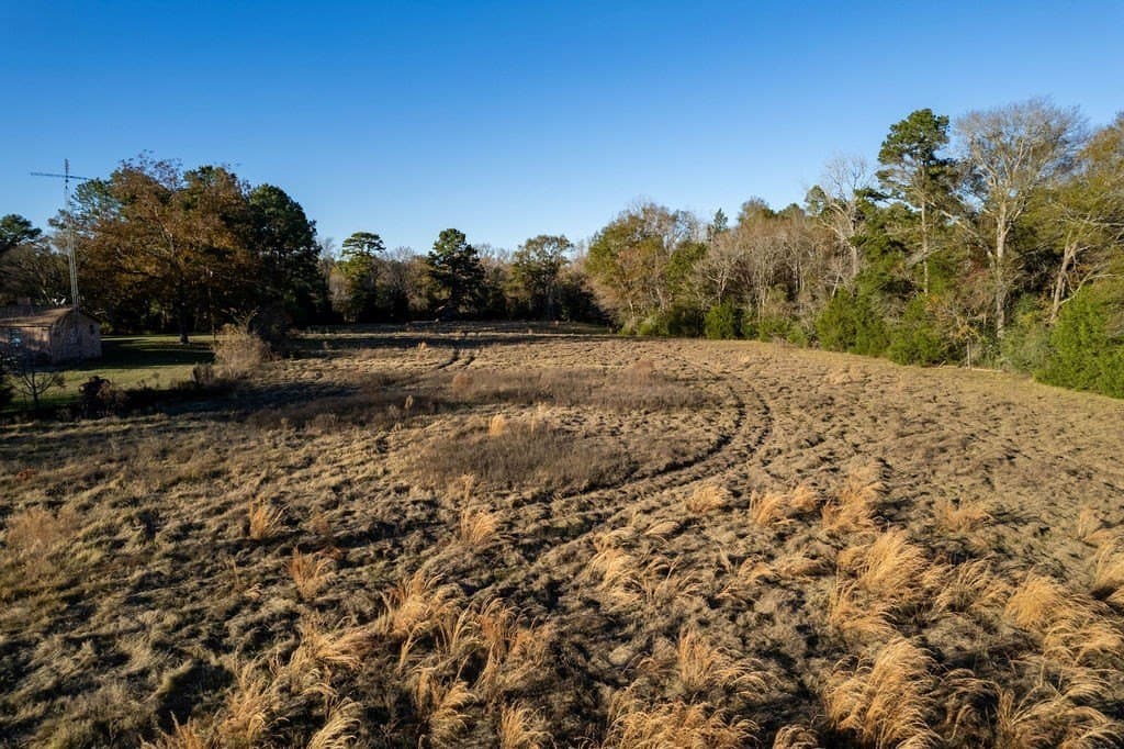 25 acres in ANDERSON County - photo 6