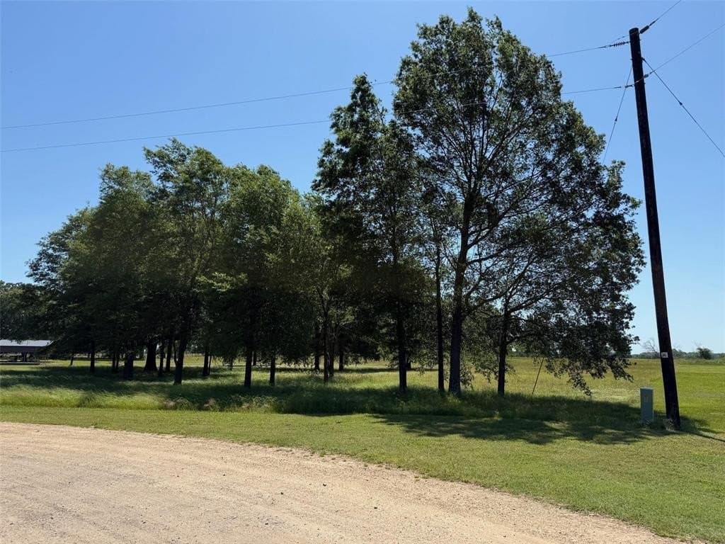 2.89 acres in Lamar County - photo 3