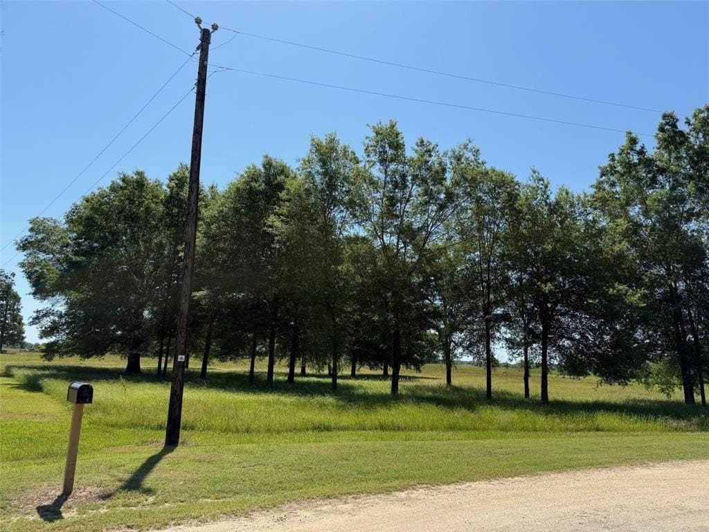 2.89 acres in Lamar County - photo 4
