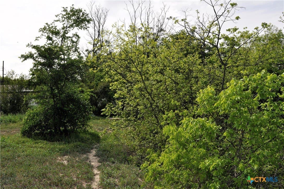 0.84 acres in Bell County - photo 7
