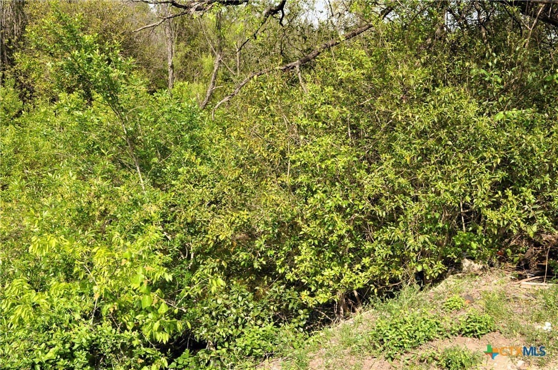 0.84 acres in Bell County - photo 9