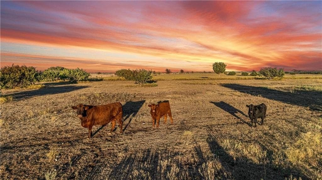 72.53 acres in Bosque County - photo 94