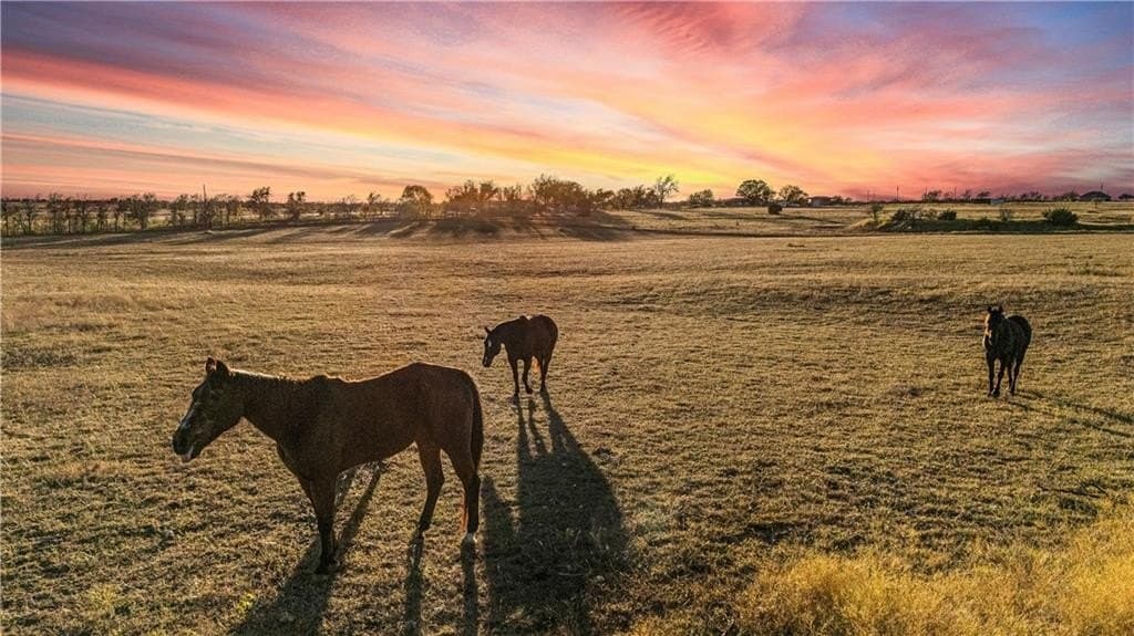 72.53 acres in Bosque County - photo 98