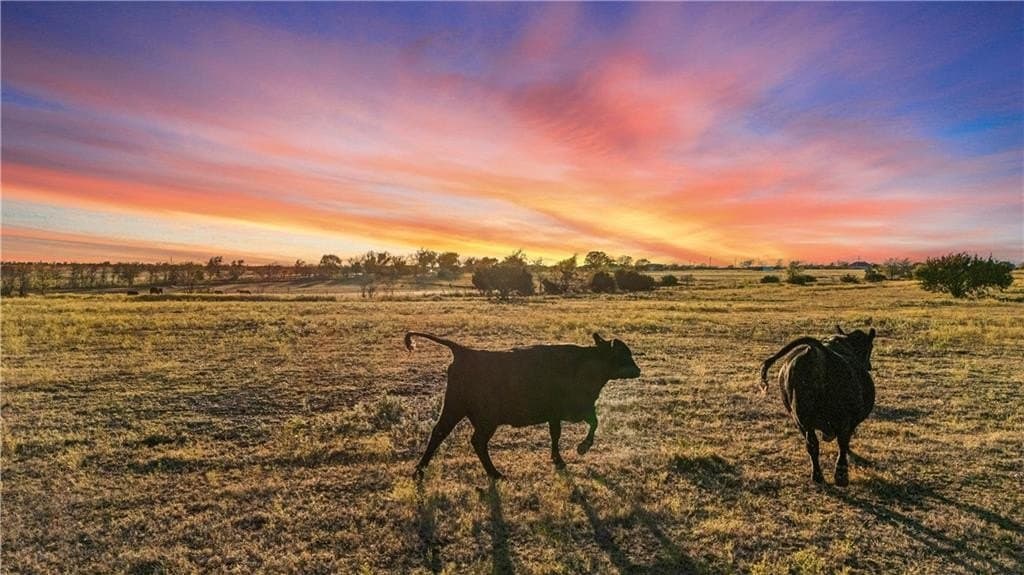 72.53 acres in Bosque County - photo 2