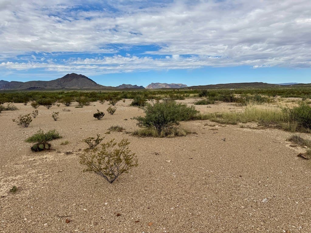 5 acres in Brewster County - photo 2
