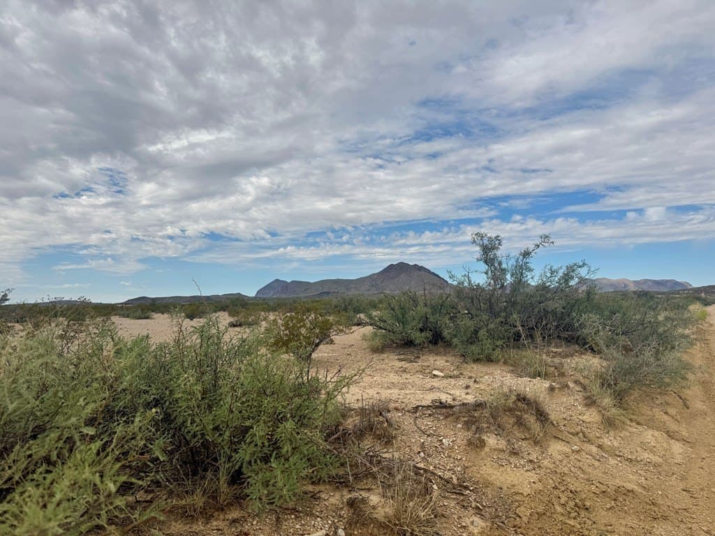 5 acres in Brewster County - photo 8